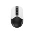 A4Tech FG12 FSTYLER 2.4G Wireless Mouse